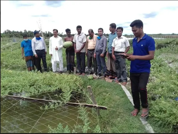কেশবপুরে অসময়ের তরমুজ চাষ জনপ্রিয় হয়ে উঠেছে কেশবপুরে অসময়ের তরমুজ চাষ জনপ্রিয় হয়ে উঠেছে