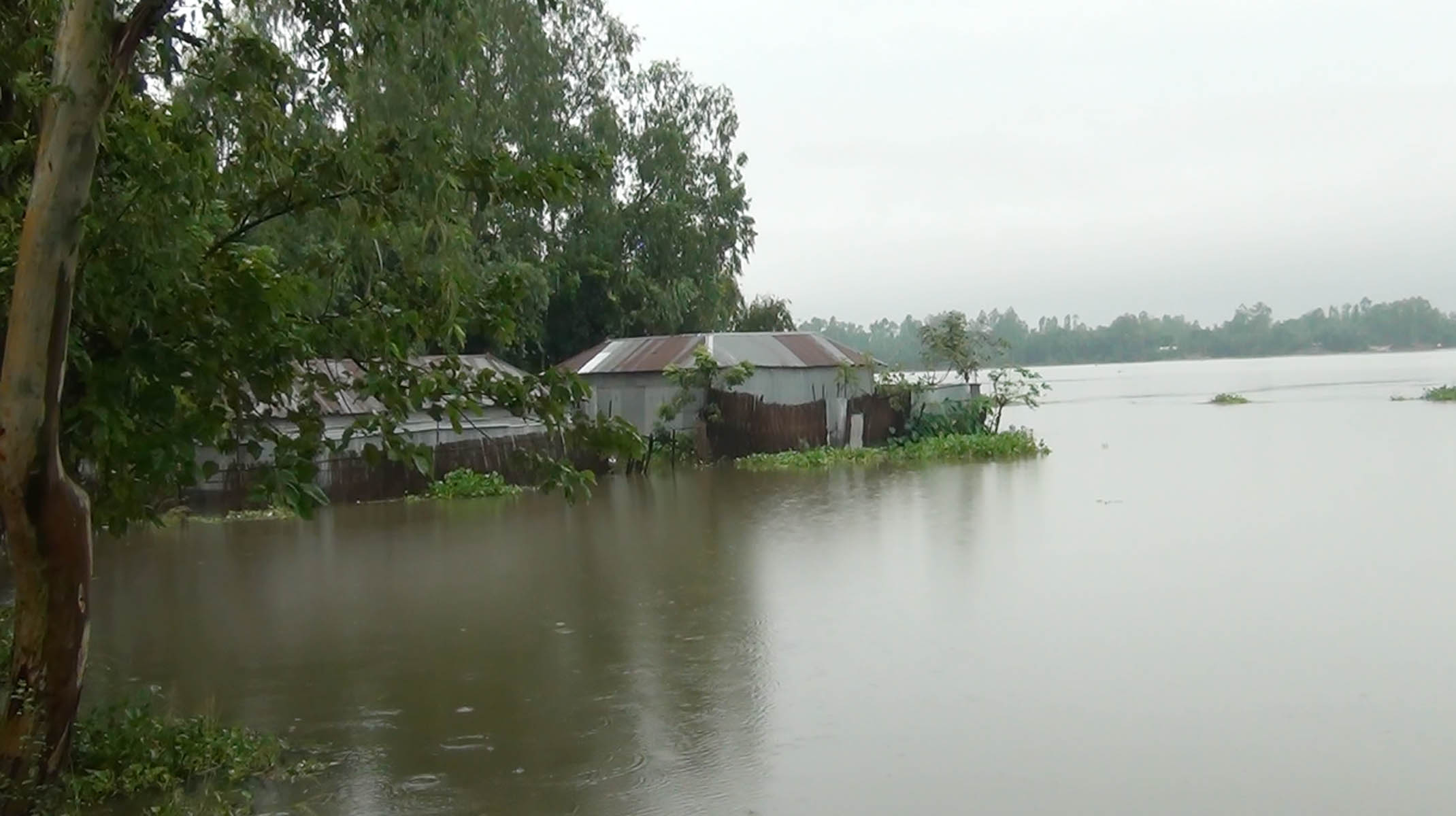 ভারি বৃষ্টি উজানের ঢল- ধরলার পানি বিপদসীমার ওপরে ভারি বৃষ্টি উজানের ঢল- ধরলার পানি বিপদসীমার ওপরে