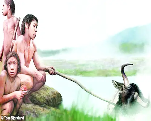সূর্যের তাপে খাদ্য সেদ্ধ করত আদিম মানুষ সূর্যের তাপে খাদ্য সেদ্ধ করত আদিম মানুষ