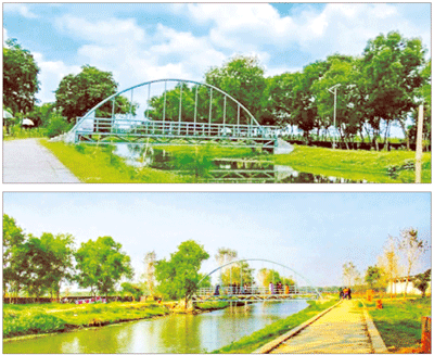 নয়নাভিরাম ‘ইবির হাতিরঝিল’ নয়নাভিরাম ‘ইবির হাতিরঝিল’