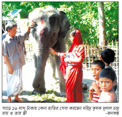 স্ত্রীর কথায় হাতি কিনলেন দরিদ্র কৃষক