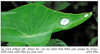 বায়ান্ন বাজার তিপ্পান্ন গলি বায়ান্ন বাজার তিপ্পান্ন গলি