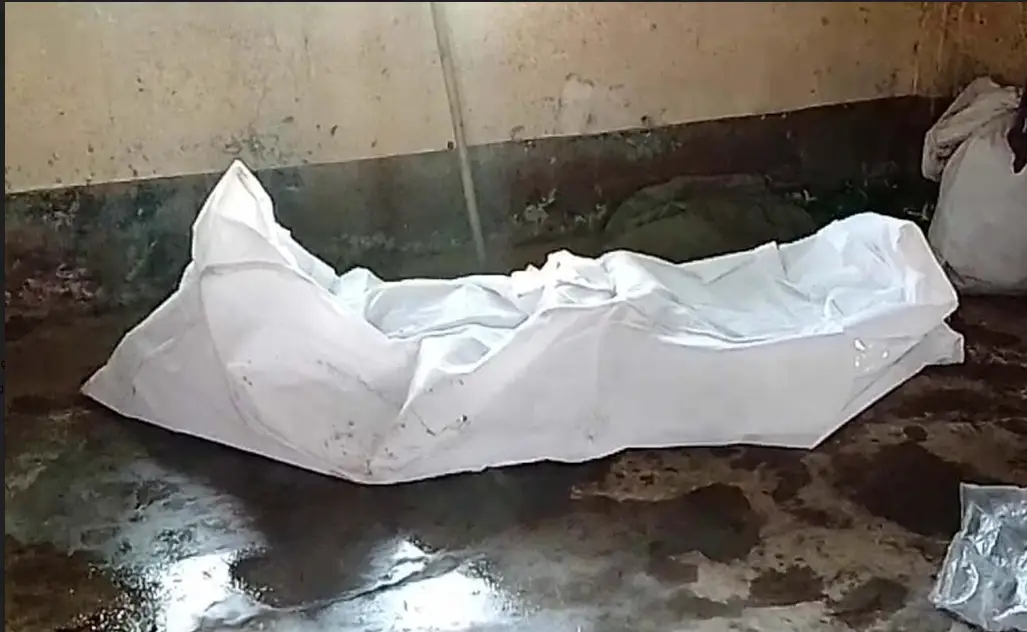 মাদারীপুরে বৃদ্ধের রক্তাক্ত মরদেহ উদ্ধার মাদারীপুরে বৃদ্ধের রক্তাক্ত মরদেহ উদ্ধার