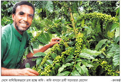 মধুপুর যেন এক টুকরো ‘কফির রাজ্য’