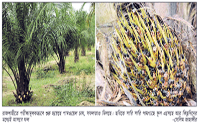 উৎপাদনে অপার সম্ভাবনা, বিপণনে পাল্টাতে পারে অর্থনীতির গতিধারা