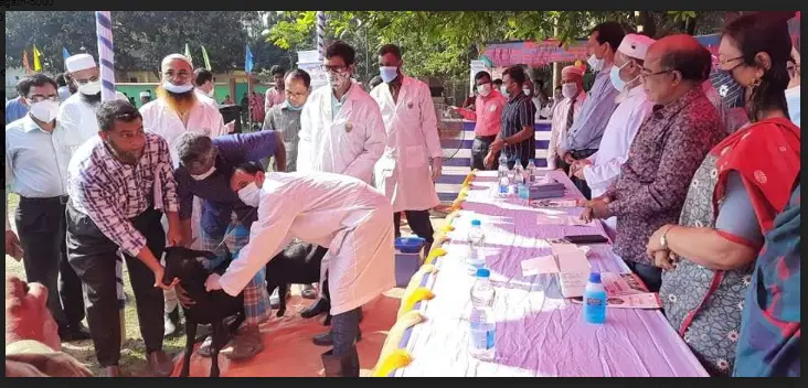 তেঁতুলিয়া থেকে ছাগল ও ভেড়ার পিপিআর রোগের টিকাদান কার্যক্রম উদ্বোধন