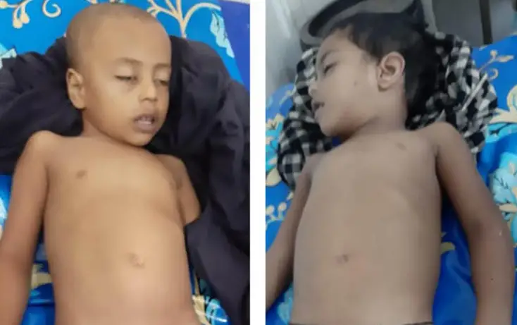 ভান্ডারিয়া পানিতে ডুবে দুই শিশুর মর্মান্তিক মৃত্যু ভান্ডারিয়া পানিতে ডুবে দুই শিশুর মর্মান্তিক মৃত্যু