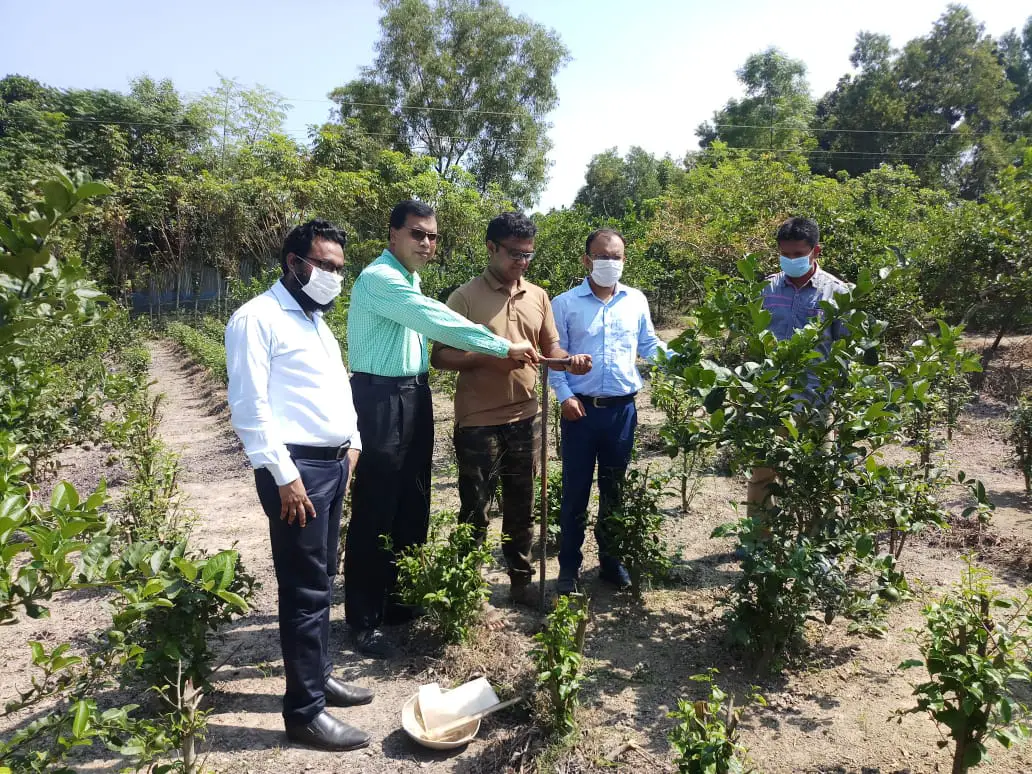 গারো পাহাড়ের পাদদেশে চা চাষ সম্প্রসারণের উদ্যোগ