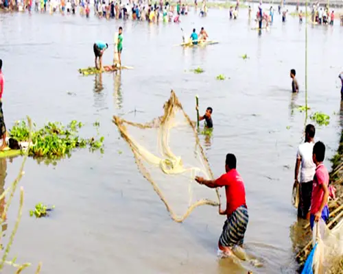 ঠাকুরগাঁওয়ে মাছ ধরার উৎসব