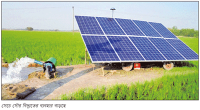 সৌর সেচে ঝুঁকছে কৃষক, হাসছে ফসলের মাঠ