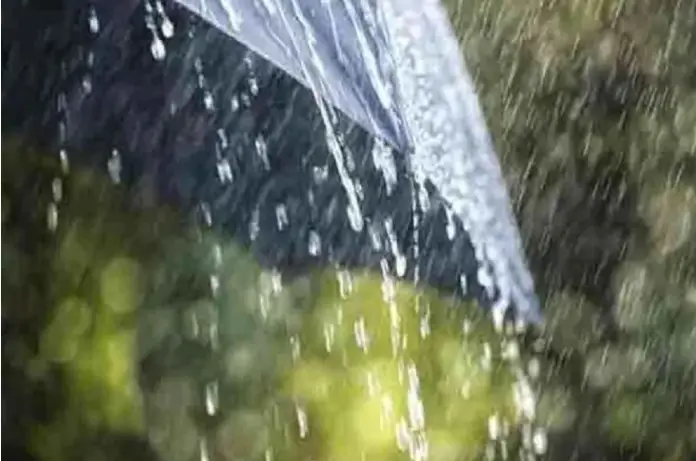 কলাপাড়ায় ছয় ঘন্টায় রেকর্ড ২০২ মিলিমিটার বৃষ্টিপাত কলাপাড়ায় ছয় ঘন্টায় রেকর্ড ২০২ মিলিমিটার বৃষ্টিপাত