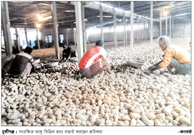 মুন্সীগঞ্জে এখনও সোয়া ২ লাখ টন আলু সংরক্ষিত মুন্সীগঞ্জে এখনও সোয়া ২ লাখ টন আলু সংরক্ষিত