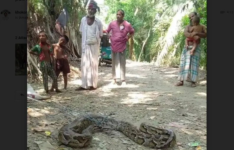 পাথরঘাটায় ৯ হাত লম্বা অজগর সাপ উদ্ধার