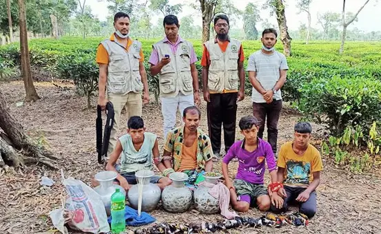 চুনারুঘাটে ৩২টি পাখিসহ আটক ৪