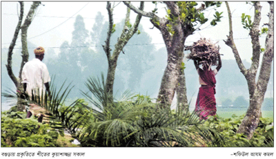 উত্তরের কুয়াশাচ্ছন্ন সকালে শীতের পদধ্বনি