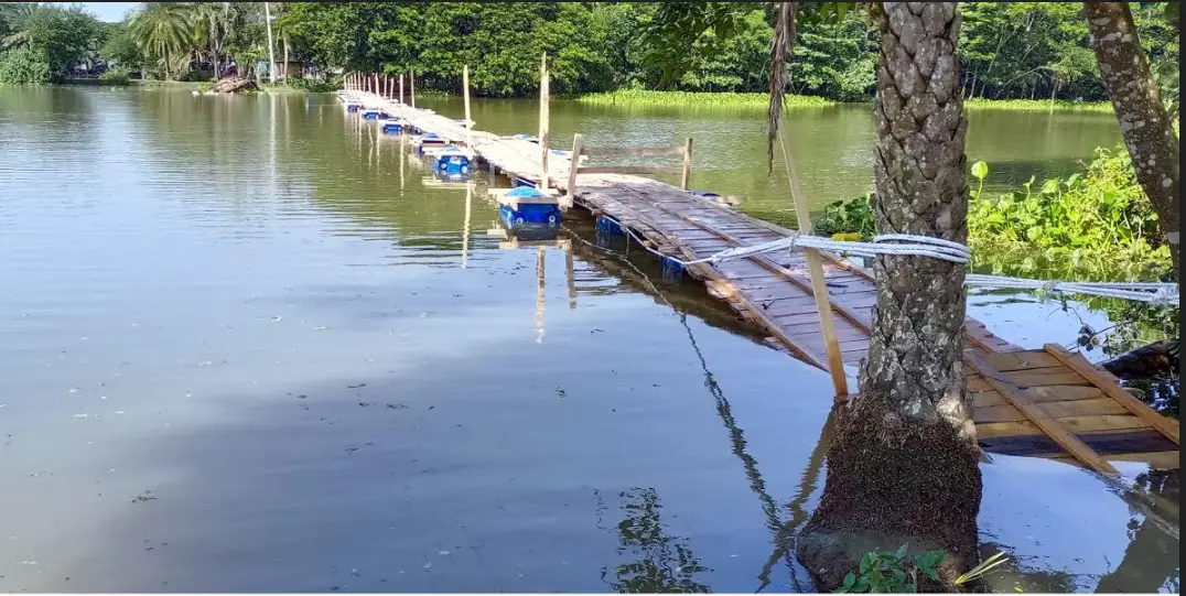 গ্রামবাসীর অর্থায়নে পাখিমারা খালে ভাসমান সেতু নির্মাণ