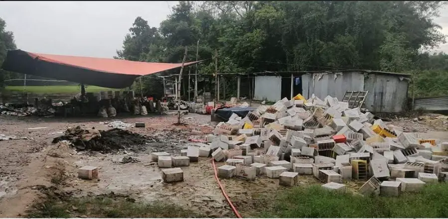 টাঙ্গাইলের সখীপুরে বনের ভেতর অবৈধ সিসা কারখানা টাঙ্গাইলের সখীপুরে বনের ভেতর অবৈধ সিসা কারখানা