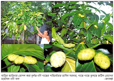 পুষ্টিগুণ সমৃদ্ধ, ভিটামিনে ভরপুর-জটিল রোগের মহৌষধ