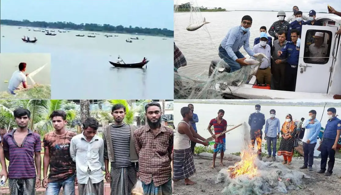 মা ইলিশ শিকার, মারমুখী হয়ে উঠেছে জেলেরা মা ইলিশ শিকার, মারমুখী হয়ে উঠেছে জেলেরা