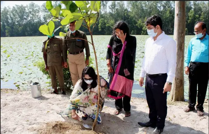 ধামইরহাটে আলতাদিঘী জাতীয় উদ্যানে মুজিববর্ষের বৃক্ষরোপণ