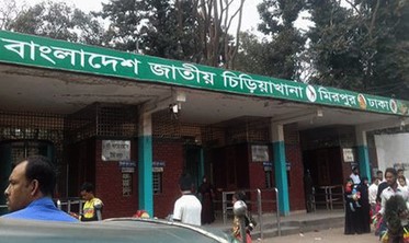 ১ নবেম্বর থেকে মাসের প্রথম রবিবার বিনামূল্যে দর্শনার্থীদের জন্য উন্মুক্ত চিড়িয়াখানা ১ নবেম্বর থেকে মাসের প্রথম রবিবার বিনামূল্যে দর্শনার্থীদের জন্য উন্মুক্ত চিড়িয়াখানা