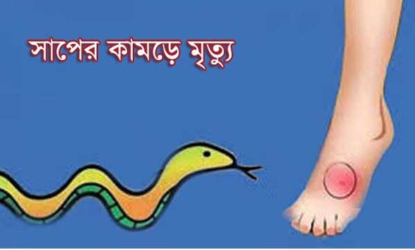 গাজীপুরে সাপের কামড়ে প্রকৌশলীর মৃত্যু গাজীপুরে সাপের কামড়ে প্রকৌশলীর মৃত্যু