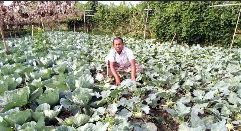 ফকিরহাটে পতিত জমিতে সবজি চাষে শিক্ষকের দৃষ্টান্ত