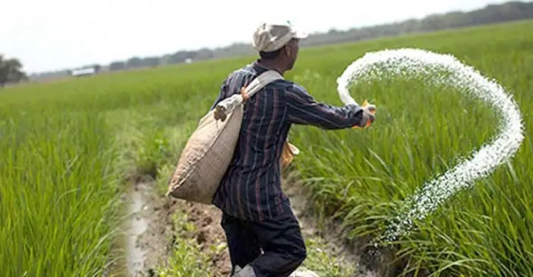 ৮০ হাজার টন ইউরিয়া ক্রয় প্রস্তাবে সায়