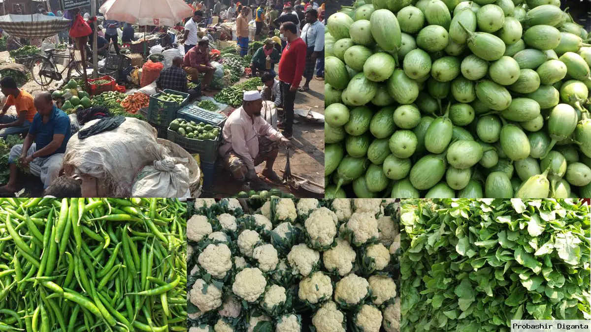 শীতের সবজিতে ভরে গেছে কাঁচা বাজার