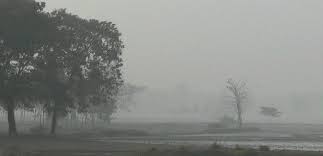 মৌসুমের প্রথম শৈত্যপ্রবাহ শুরু মৌসুমের প্রথম শৈত্যপ্রবাহ শুরু