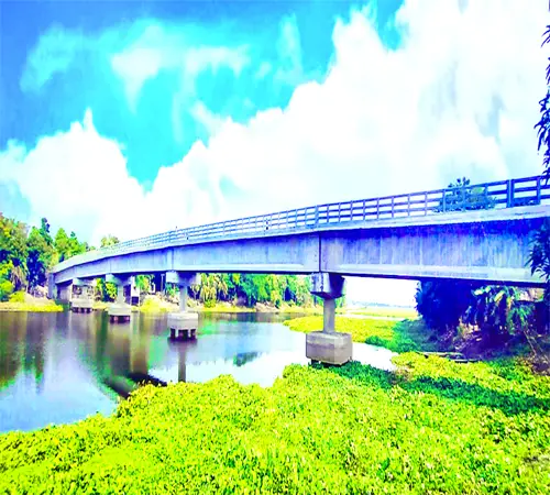 কাজে আসছে না ১০ কোটি টাকার সেতু কাজে আসছে না ১০ কোটি টাকার সেতু