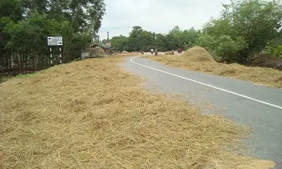 মহাসড়কে খড় শুকালে জরিমানা