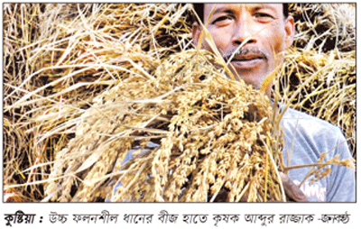 কুষ্টিয়ায় উচ্চ ফলনশীল ধানবীজের সন্ধান কুষ্টিয়ায় উচ্চ ফলনশীল ধানবীজের সন্ধান