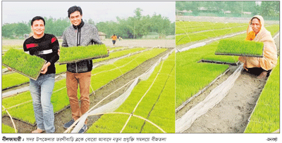 বোরো আবাদে নতুন প্রযুক্তি ॥ বাঁচবে সময়, বাড়বে ফলন