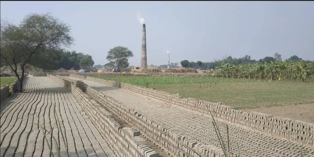 দৌলতপুরে অবৈধ ইটভাঁটিতে রাতে পোড়ানো হচ্ছে কাঠ দৌলতপুরে অবৈধ ইটভাঁটিতে রাতে পোড়ানো হচ্ছে কাঠ