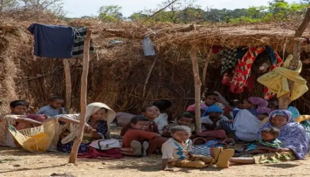 ইথিওপিয়ায় সশস্ত্র হামলায় শিশুসহ নিহত ৮০