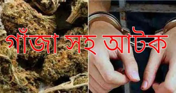 রাজধানীতে সোয়া দুই মন গাজাঁসহ গ্রেফতার ২ রাজধানীতে সোয়া দুই মন গাজাঁসহ গ্রেফতার ২