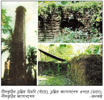 মাদারীপুরে কৃষক নির্যাতনের নীরব সাক্ষী মাদারীপুরে কৃষক নির্যাতনের নীরব সাক্ষী