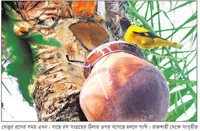 শীতের অন্যতম অনুষঙ্গ হারিয়ে যেতে বসেছে শীতের অন্যতম অনুষঙ্গ হারিয়ে যেতে বসেছে