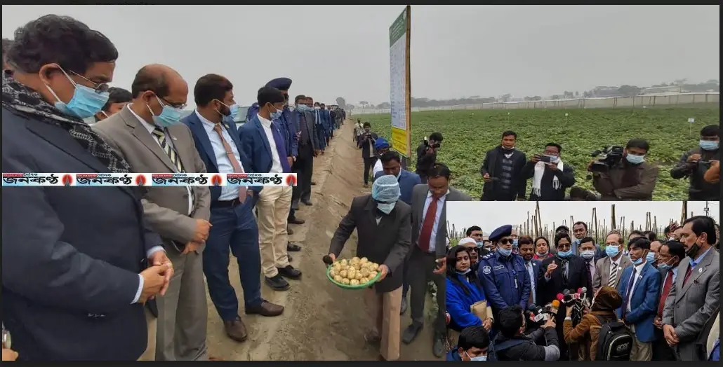 আলুর আবাদ বৃদ্ধিতে গুরুত্ব দেয়া হচ্ছে ॥ কৃষিমন্ত্রী