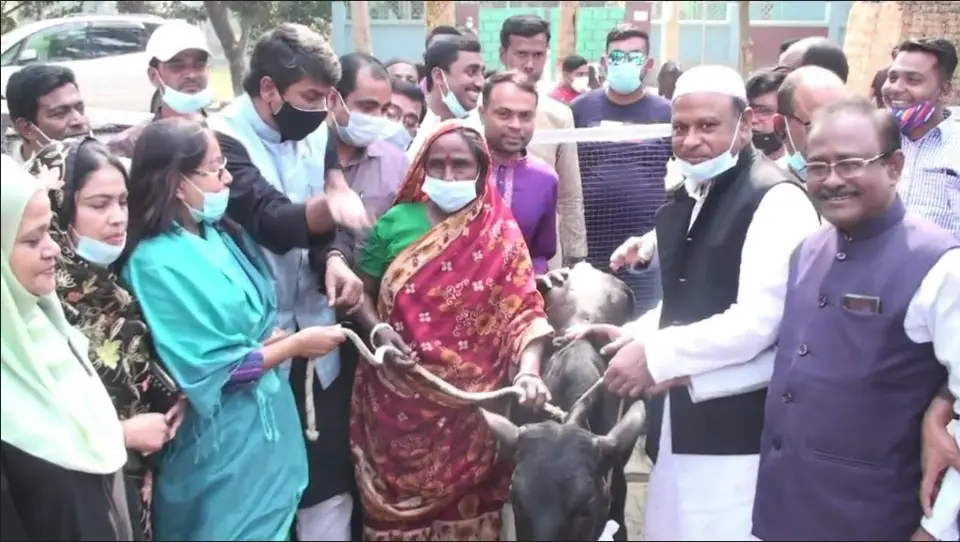 নাটোরে ক্রস ব্রীড বকনা গরু বিতরণ নাটোরে ক্রস ব্রীড বকনা গরু বিতরণ
