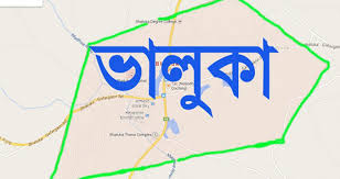 ভালুকায় গাছ চাপায় নিহত ২ ভালুকায় গাছ চাপায় নিহত ২