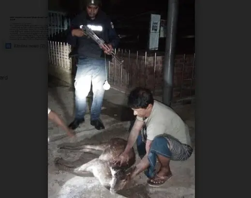 কোস্ট গার্ডের অভিযানে একটি জীবিত হরিণসহ শিকারী আটক কোস্ট গার্ডের অভিযানে একটি জীবিত হরিণসহ শিকারী আটক