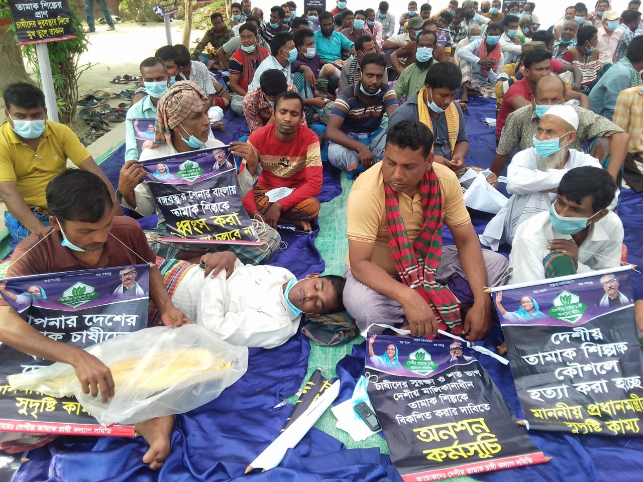 কুষ্টিয়ায় তামাক চাষীদের অনশন কুষ্টিয়ায় তামাক চাষীদের অনশন