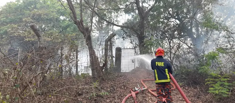 জাবিতে সংরক্ষিত বনভূমিতে ভয়াবহ অগ্নিকান্ড, হুমকিতে জীববৈচিত্র্য