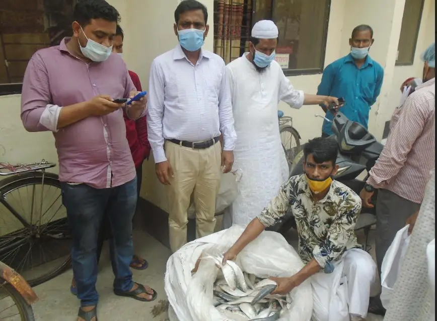 ঝালকাঠিতে দেড় মণ জাটকা ইলিশ জব্দ করা হয়েছে ঝালকাঠিতে দেড় মণ জাটকা ইলিশ জব্দ করা হয়েছে