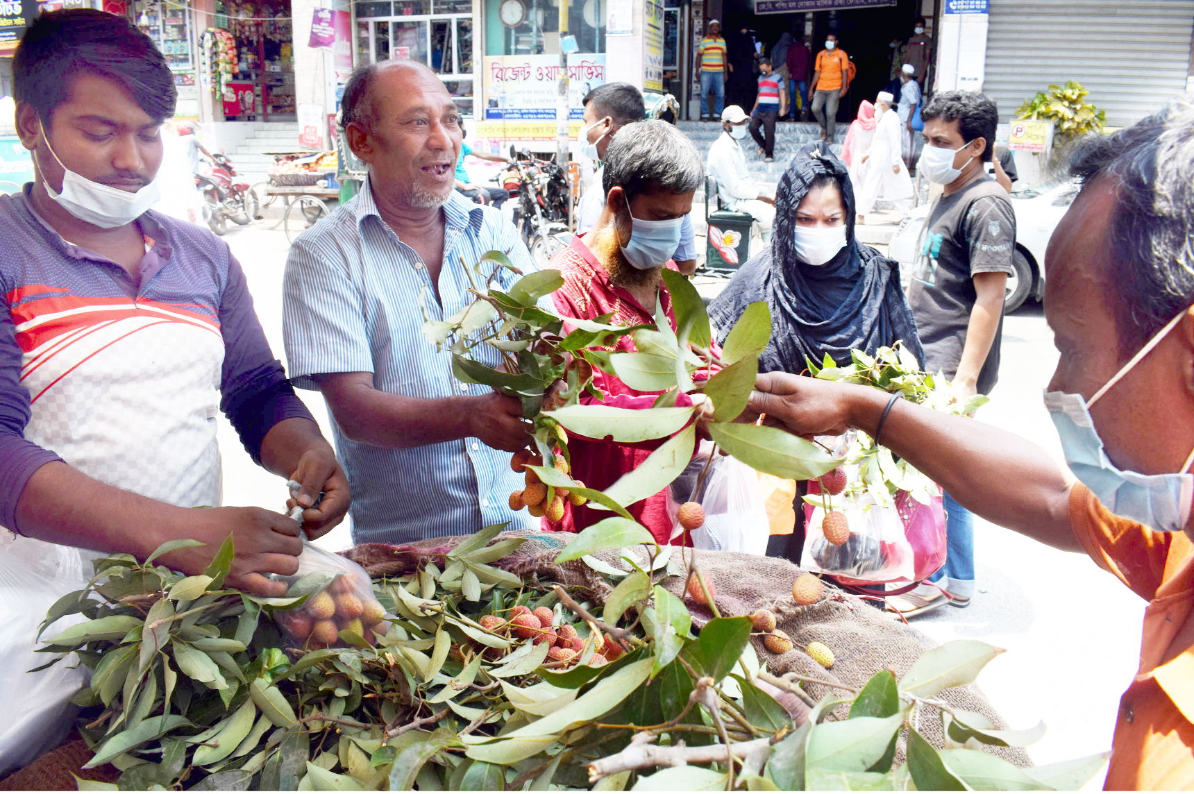 গাছে গাছে পাকছে লিচু, দামে হতাশ ক্রেতা