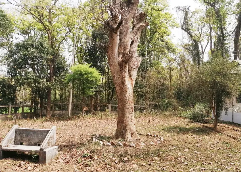 বঙ্গবন্ধুর স্মৃতি বিজরিত টাঙ্গাইলের মধুপুরের দোখলায় ৫০ বছরেও উন্নয়নের ছোঁয়া নেই বঙ্গবন্ধুর স্মৃতি বিজরিত টাঙ্গাইলের মধুপুরের দোখলায় ৫০ বছরেও উন্নয়নের ছোঁয়া নেই