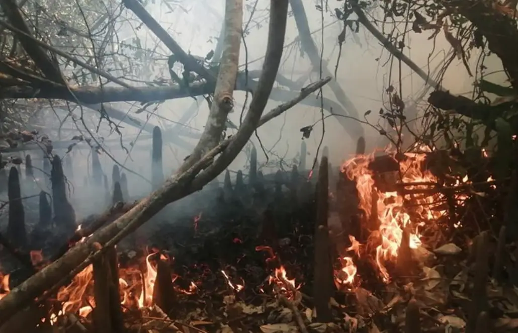 ৩ সদস্যের তদন্ত কমিটি ৩ সদস্যের তদন্ত কমিটি