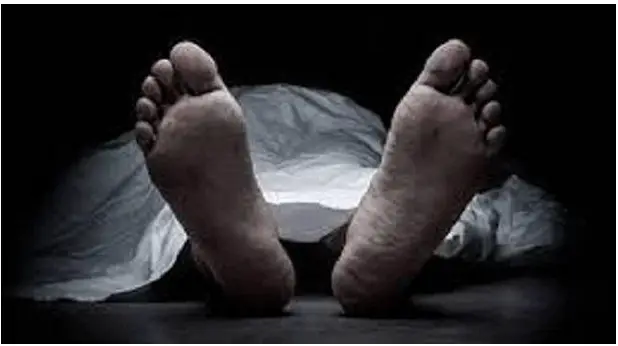 ঝিনাইদহের শৈলকুপায় বিধবা নারীর মৃতদেহ উদ্ধার ঝিনাইদহের শৈলকুপায় বিধবা নারীর মৃতদেহ উদ্ধার